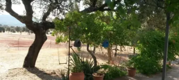 3 bedrooms House in Puertollano, Spain No. 143263 9