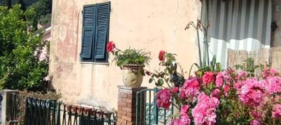 6-Zimmer Haus in Ameglia, Italy, Nr. 102565 8