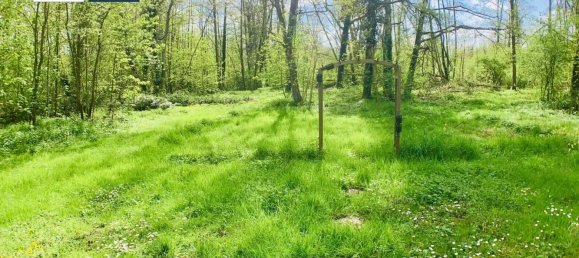 5 Schlafzimmer Haus in Villers-Cotterets, France, Nr. 67833 13