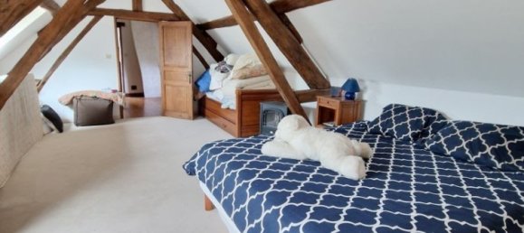 4 bedrooms House in Saint-Firmin-sur-Loire, France No. 254198 17