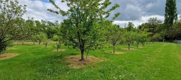 4 bedrooms House in Saint-Firmin-sur-Loire, France No. 254198 8