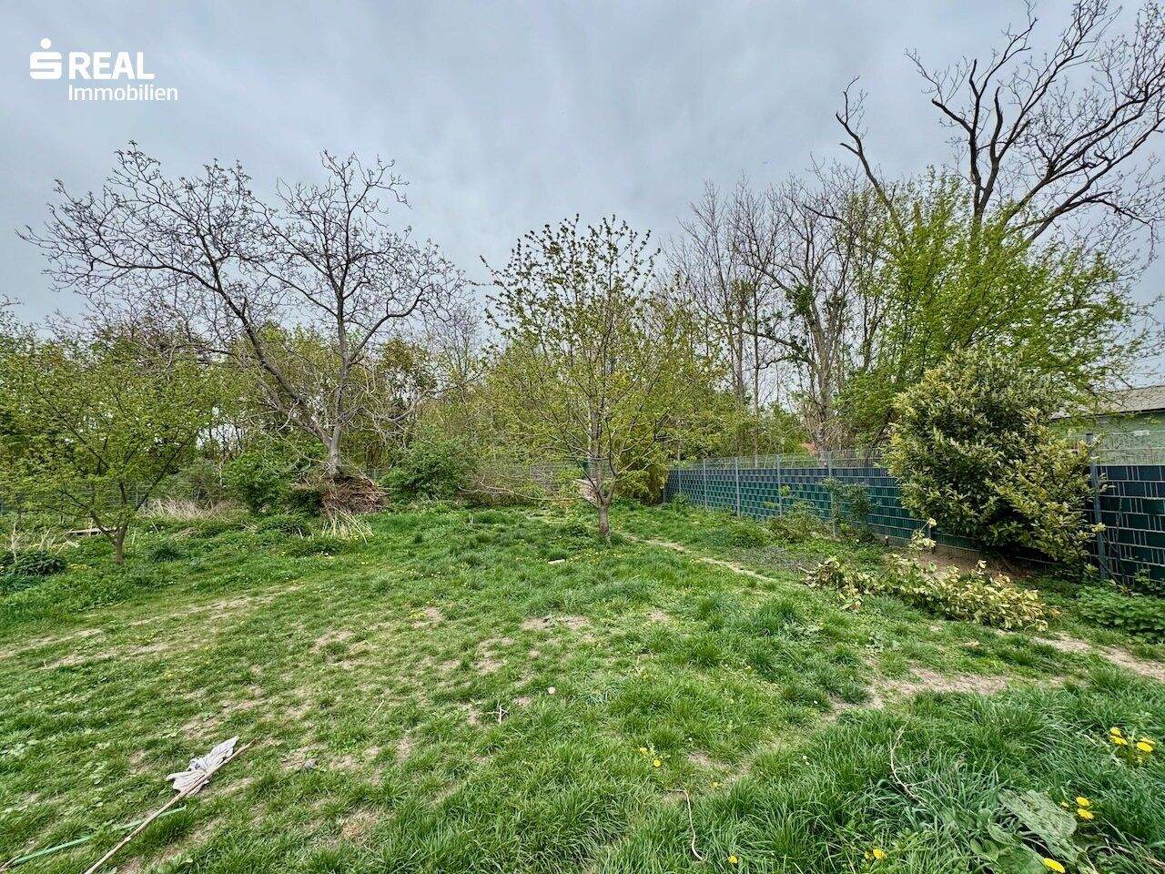 Terrain à Blumau-Neurisshof, Austria No. 163230