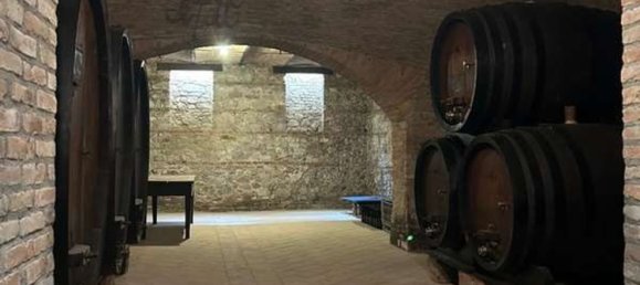 480m² Commercial property in Borgo Priolo, Italy No. 364866 19