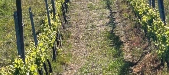 480m² Commercial property in Borgo Priolo, Italy No. 364866 38