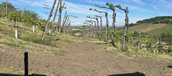 480m² Commercial property in Borgo Priolo, Italy No. 364866 26