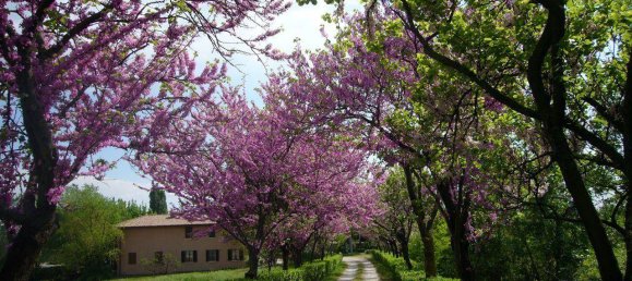 3 Schlafzimmer Haus in Brescia, Italy, Nr. 177465 14