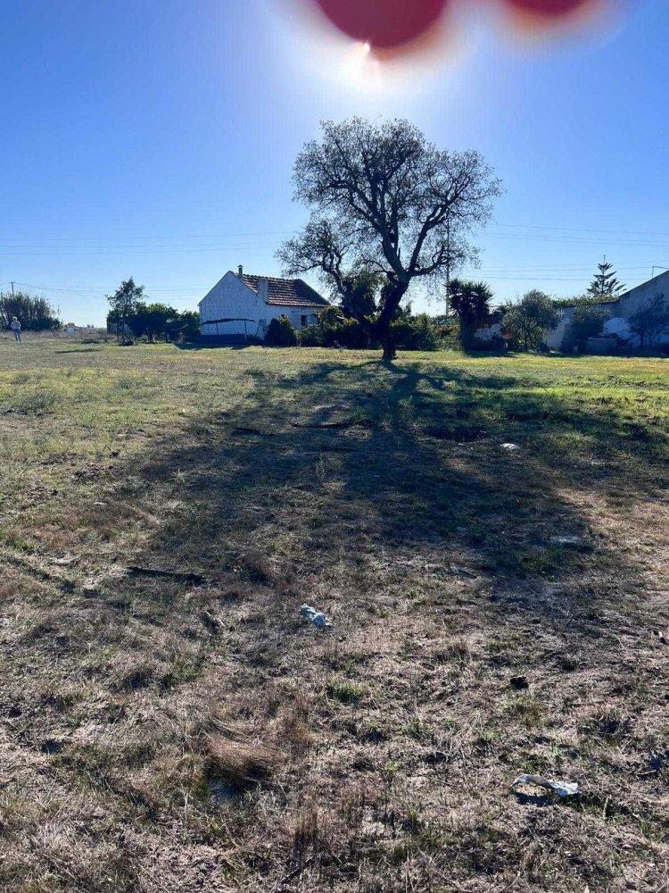 Земельный участок в Сетубал, Португалия № 231053