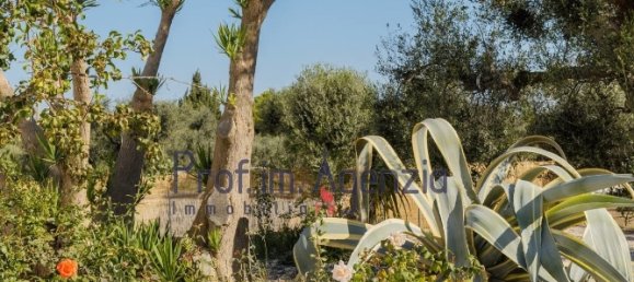 3-Zimmer Haus in Ostuni, Italy, Nr. 125283 6