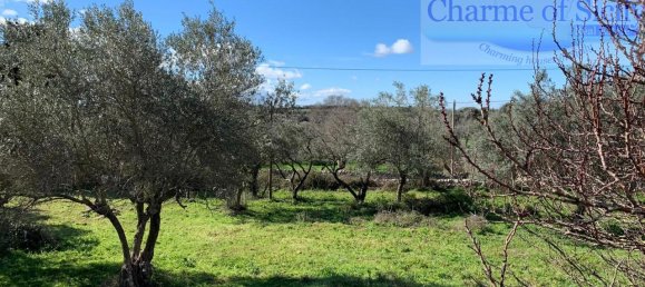 12غرفة منزل في Noto, Italy رقم 236012 12