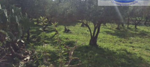 12غرفة منزل في Noto, Italy رقم 236012 9