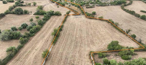 12غرفة منزل في Noto, Italy رقم 236012 4