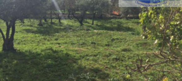 12غرفة منزل في Noto, Italy رقم 236012 44