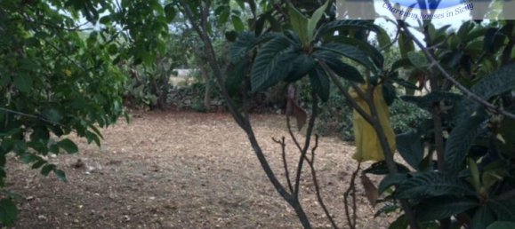 12غرفة منزل في Noto, Italy رقم 236012 39