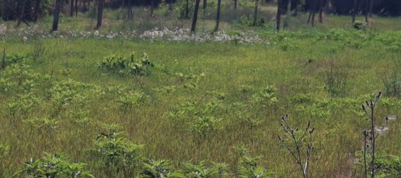 Casa de 1 dormitorio en Zagarolo, Italy No. 359833 10