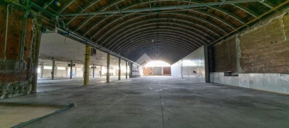 Lagerhaus in San Giorgio Monferrato, Italy 2240m², Nr. 285877 14