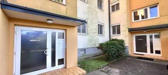 4 rooms Apartment in Modling, Austria No. 235951 22
