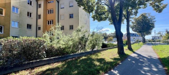 4 rooms Apartment in Modling, Austria No. 235951 2