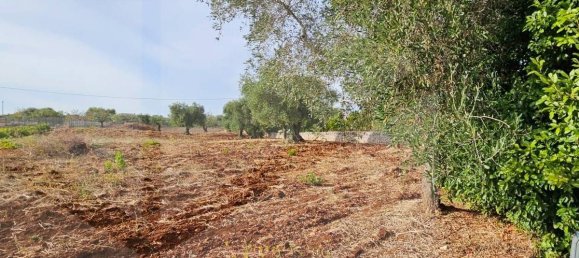 8غرفة فيلا في Locorotondo, Italy رقم 28501 20