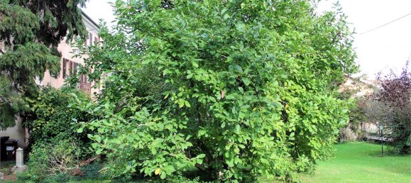 Вилла с 6 спальнями в Серравалле Сезия, Италия № 157667 17