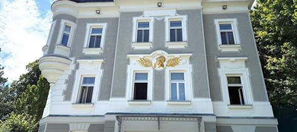 17غرفة فيلا في Baden, Austria رقم 195310 18