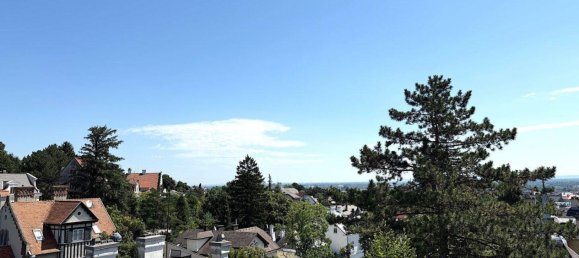 17غرفة فيلا في Baden, Austria رقم 195310 19