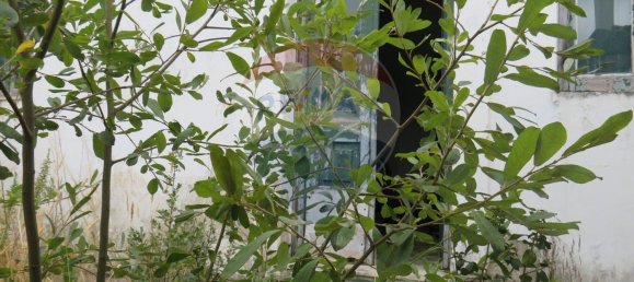 2 bedrooms House in Aljubarrota, Portugal No. 184496 4