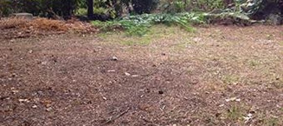 15 Schlafzimmer Haus in Rome, Italy, Nr. 263158 7