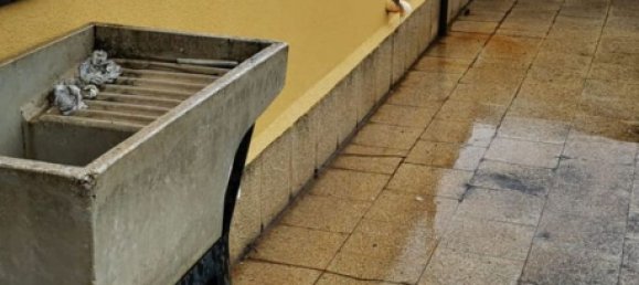 3-Zimmer Wohnung in Rometta, Italy, Nr. 132328 4