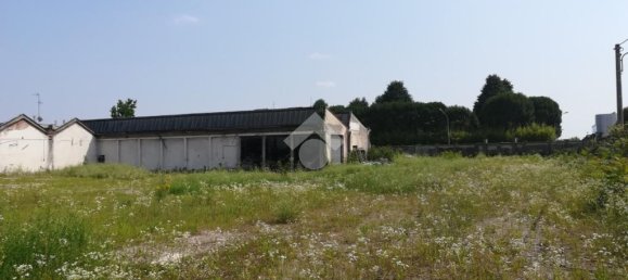 1-Zimmer Grundstück in Buscate, Italy, Nr. 6360 4