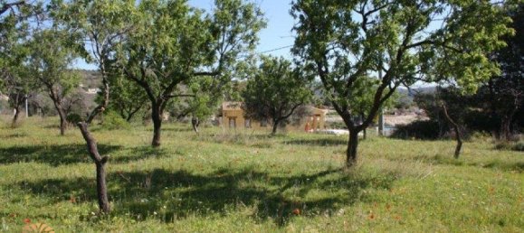 5 chambres Villa à Benissa, Spain No. 1505 8