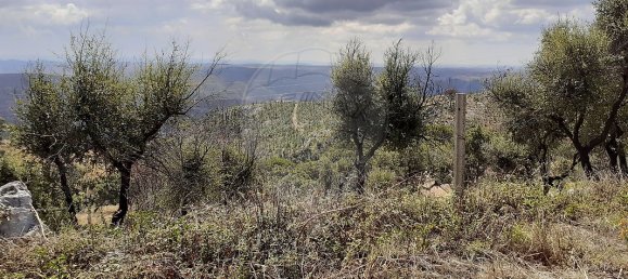 60080m² Land in Alferce, Portugal No. 37309 4