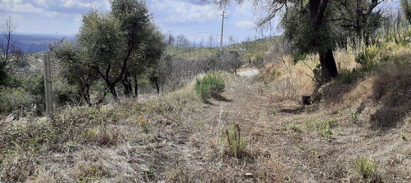 60080m² Land in Alferce, Portugal No. 37309 5
