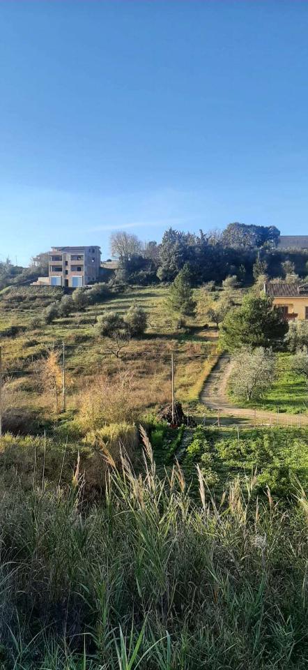 1 room Land in Montescaglioso, Italy No. 111645
