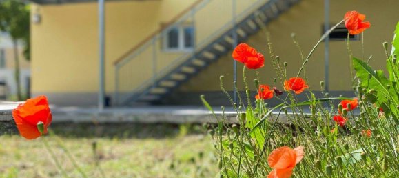 Квартира с 4 комнатами в Баден, Австрия № 22152 16