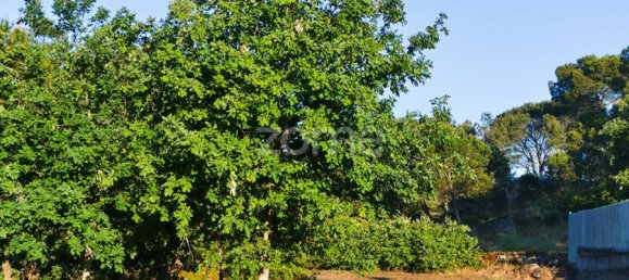  Land in Viseu, Portugal No. 46991 14