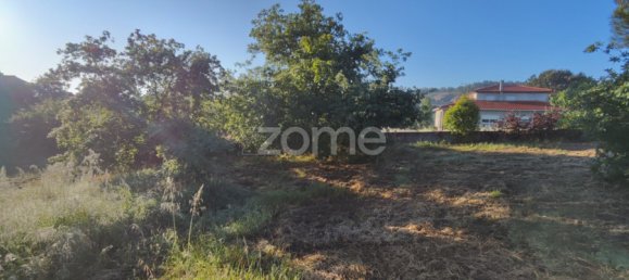  Land in Viseu, Portugal No. 46991 12