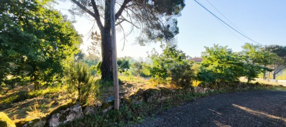  Land in Viseu, Portugal No. 46991 9