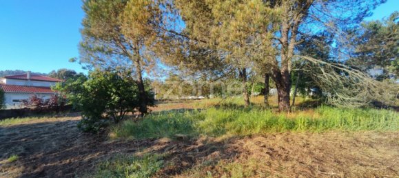  Land in Viseu, Portugal No. 46991 13