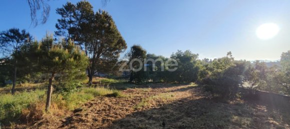  Land in Viseu, Portugal No. 46991 8