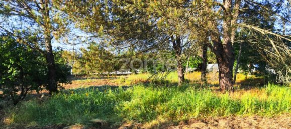  Land in Viseu, Portugal No. 46991 5