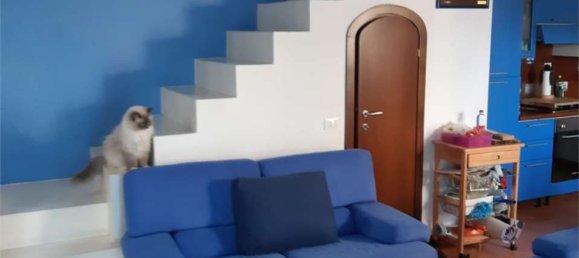 4-Zimmer Haus in Campo nell'Elba, Italy, Nr. 274045 10