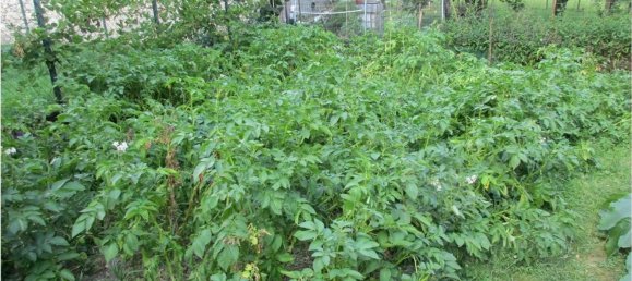 5 chambres Maison à Capizzone, Italy No. 361069 8