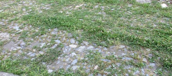 5 chambres Maison à Capizzone, Italy No. 361069 6