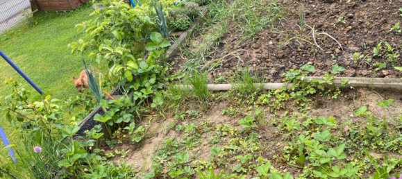 3 غرف نوم تاون هاوس في Calw, Germany رقم 323997 9