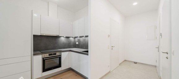 Квартира с 3 комнатами в Бригиттенау, Австрия № 244830 8