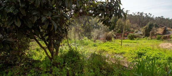 4 bedrooms House in Angeja, Portugal No. 187901 16