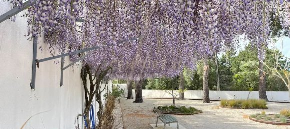 4 bedrooms House in Azambuja, Portugal No. 121210 18