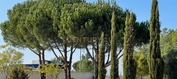 4 bedrooms House in Azambuja, Portugal No. 121210 25