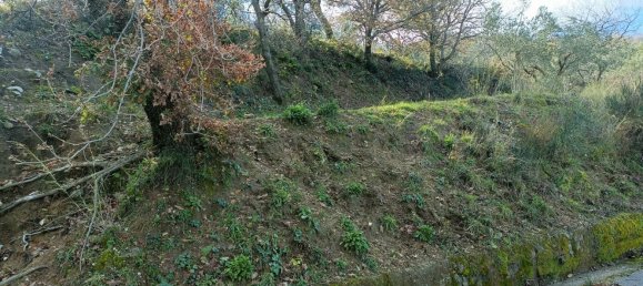 28000m² Land in Montepaone, Italy No. 36239 6