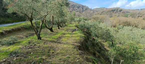 28000m² Land in Montepaone, Italy No. 36239 7
